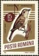 Colnect-5049-028-Great-Reed-Warbler-Acrocephalus-arundinaceus.jpg