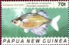Colnect-2377-423-Lake-Wanam-Rainbowfish-Glossolepis-wanamensis.jpg