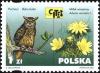 Colnect-3809-175-Eurasian-Eagle-Owl-Bubo-bubo-Yellow-Pheasent--s-Eye-Adoni.jpg