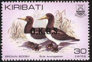 Colnect-1095-814-Brown-Booby-Sula-leucogaster.jpg