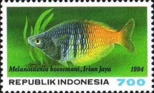 Colnect-1141-755-Boeseman-s-Rainbowfish-Melanotaenia-boesemani.jpg