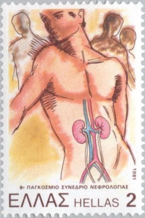 Colnect-175-018-human-body-showing-kidneys.jpg
