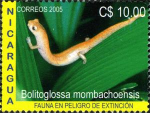 Colnect-3063-585-Salamander-Bolitoglossa-mombachoensis.jpg