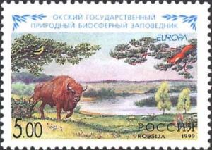 Colnect-4152-497-European-Bison-Bison-bonasus-in-the-Biosphere-Reserve-Oksk.jpg