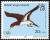 Colnect-2650-320-Brown-Booby-Sula-leucogaster.jpg