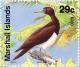 Colnect-1003-184-Brown-Booby-Sula-leucogaster.jpg