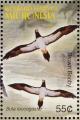 Colnect-1620-607-Brown-Booby-Sula-leucogaster.jpg