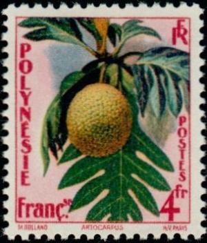 Colnect-1011-581-Breadfruit-tree.jpg