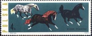 Colnect-452-100-Mixed-Horse-Breeds-Equus-ferus-caballus.jpg