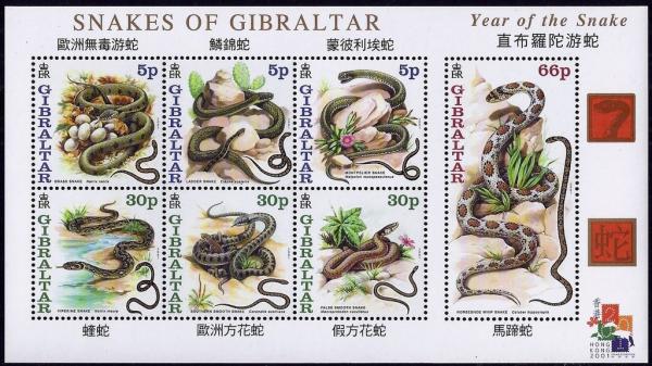 Colnect-3266-599-Snakes-of-Gibraltar---Year-of-the-Snake.jpg