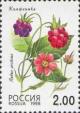 Colnect-190-839-Arctic-bramble-Rubus-arcticus.jpg
