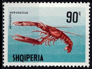 Colnect-3647-989-Norway-Lobster-Nephrops-norvegicus.jpg