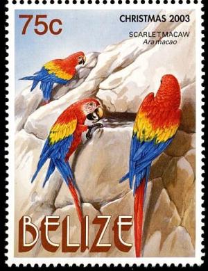 Colnect-4025-641-Scarlet-Macaw-nbsp--nbsp--nbsp--nbsp-Ara-macao.jpg