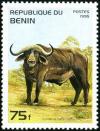 Colnect-2571-394-African-Buffalo-Syncerus-caffer.jpg