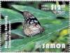 Colnect-3623-954-Blue-Tiger-Butterfly-Tirumala-limniace.jpg