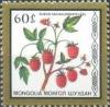 Colnect-918-379-Rubus-sachalinensis.jpg