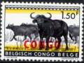 Colnect-1088-254-African-Buffalo-Syncerus-caffer.jpg