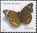Colnect-202-506-Common-Buckeye-Junonia-coenia.jpg