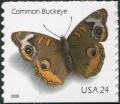 Colnect-202-507-Common-Buckeye-Junonia-coenia.jpg