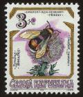 Colnect-3723-459-Buff-tailed-Bumblebee-Bombus-terrestris.jpg