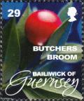 Colnect-4163-108-Butcher-s-Broom.jpg