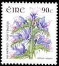 Colnect-617-116-Viper-s-bugloss-Echium-vulgare.jpg