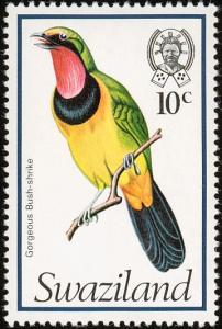 Colnect-1661-876-Four-colored-Bushshrike-Telophorus-viridis.jpg