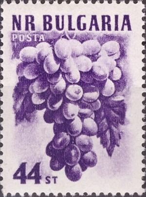 Colnect-2376-302-Bunch-of-Grapes.jpg