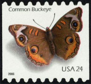 Colnect-3447-698-Common-Buckeye-Junonia-coenia.jpg