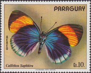 Colnect-3735-678-Brus-footed-Butterfly-Callithea-saphhira.jpg