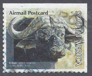 Colnect-4234-479-African-buffalo-Syncerus-caffer.jpg