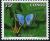 Colnect-4159-369-Blue-Butterfly-Lycaenidae-.jpg