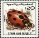 Colnect-2114-400-Ladybug-F-Coccinellidae.jpg