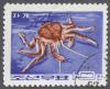 Colnect-2950-306-Red-King-Crab-Paralithodes-camtschatica.jpg