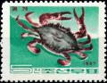 Colnect-5963-476-Gazami-Crab-Portunus-trituberculatus.jpg