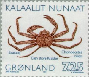 Colnect-158-496-Snow-Crab-Chionoecetes-opilio-.jpg