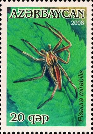 Colnect-1603-641-Nursery-Web-Spider-Pisaura-mirabilis.jpg