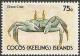 Colnect-3090-328-Ghost-Crab-Ocypode-ceratophthalma.jpg