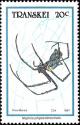 Colnect-5966-050-Black-legged-Golden-Orb-web-Spider-Nephila-pilipes-fenestra.jpg