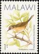 Colnect-864-287-Cameroon-Scrub-Warbler-Bradypterus-lopezi.jpg