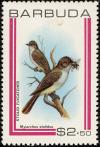 Colnect-1506-886-Stolid-Flycatcher-Myiarchus-stolidus.jpg