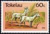 Colnect-1822-968-Goat-Capra-aegagrus-hircus.jpg