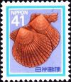 Colnect-2277-246-Noble-Scallop-Chlamys-nobilis.jpg