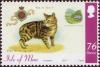 Colnect-2605-158-Tabby-Manx-Cat-Felis-silvestris-catus.jpg