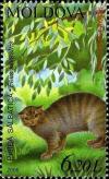 Colnect-3108-569-Wildcat-Felis-silvestris.jpg