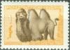 Colnect-3156-296-Bactrian-Camel-Camelus-bactrianus.jpg