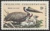 Colnect-4215-306-Brown-Pelican-Pelecanus-occidentalis.jpg