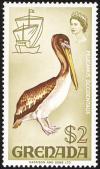 Colnect-4451-333-Brown-Pelican-Pelecanus-occidentalis.jpg