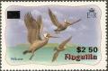 Colnect-1571-936-Brown-Pelican-Pelecanus-occidentalis.jpg