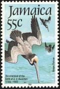 Colnect-1700-676-Brown-Pelican-Pelecanus-occidentalis.jpg